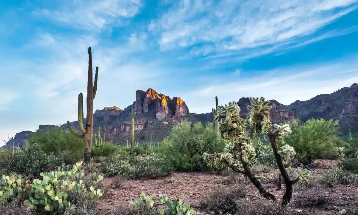 In Balance Counseling Inc