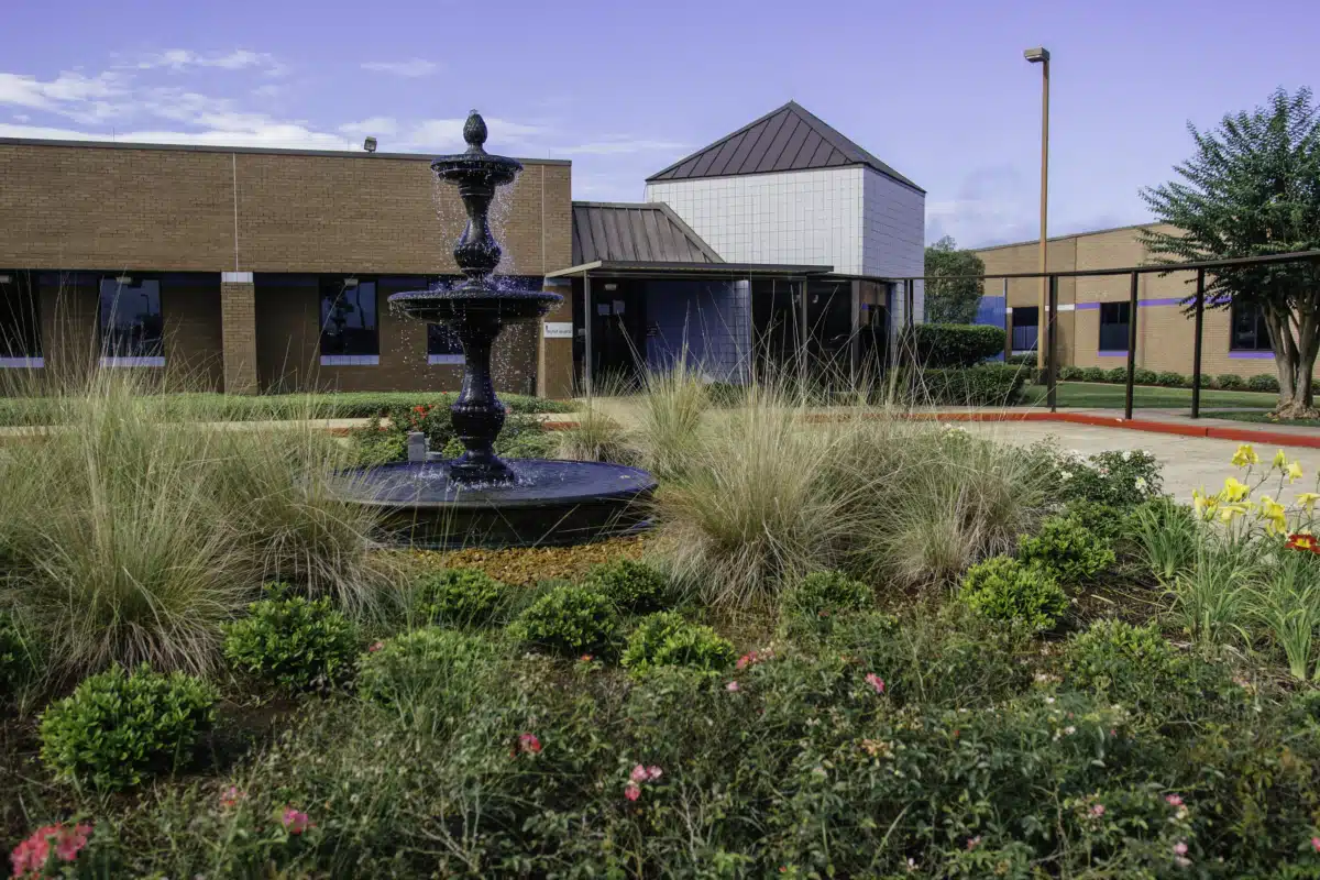 Louisiana Behavioral Health Services