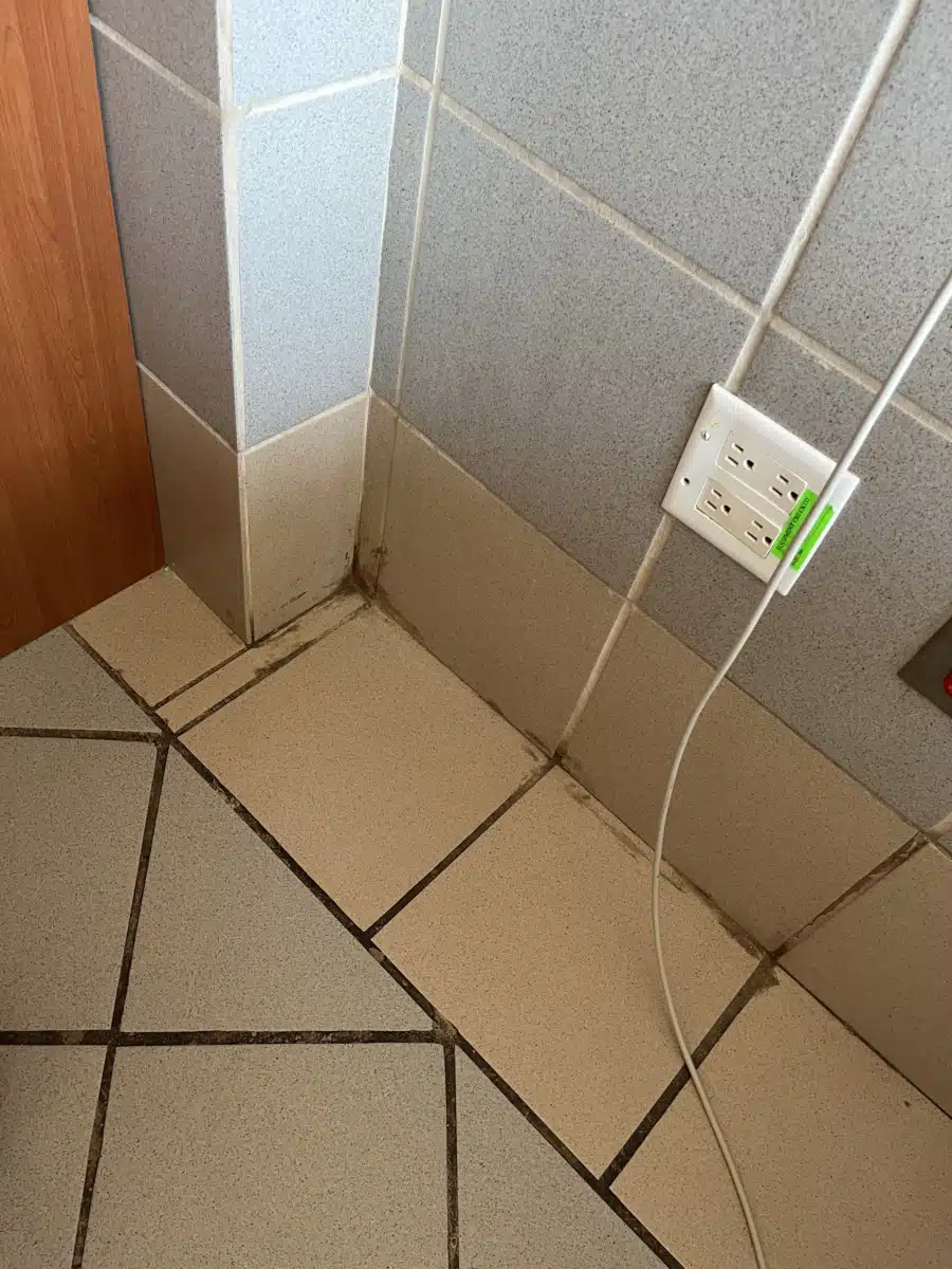 Tratamiento Ambulatorio Adultos